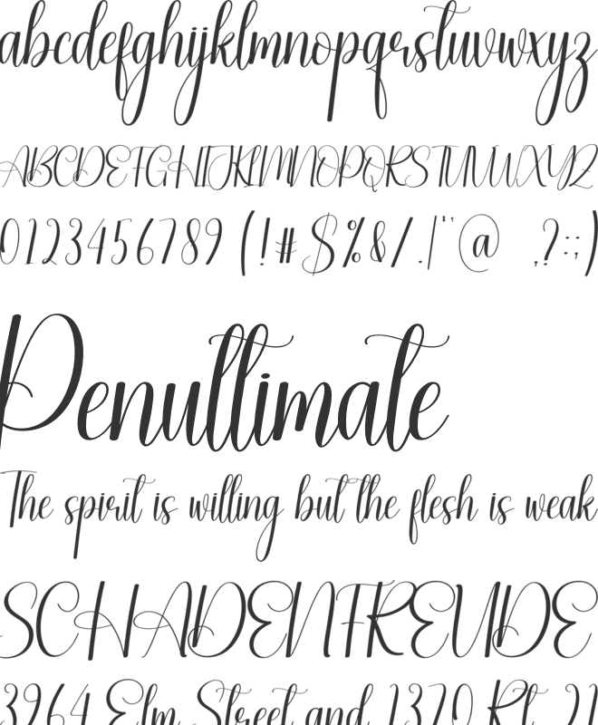 Catering font preview