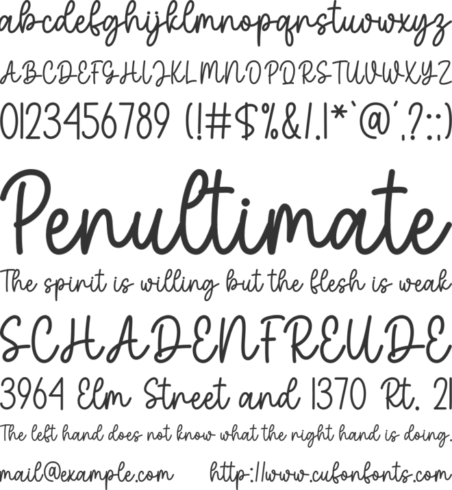 Absolute Script font preview