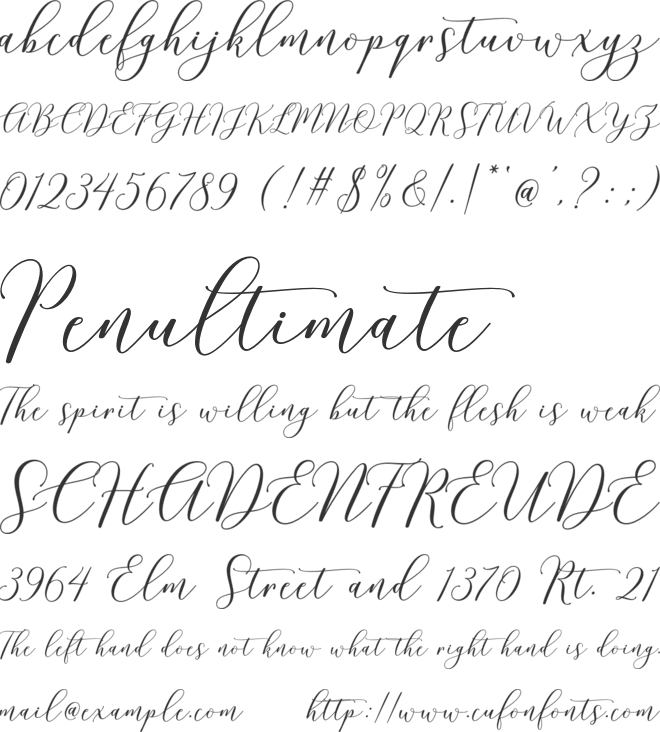 Honduras Script Alt font preview