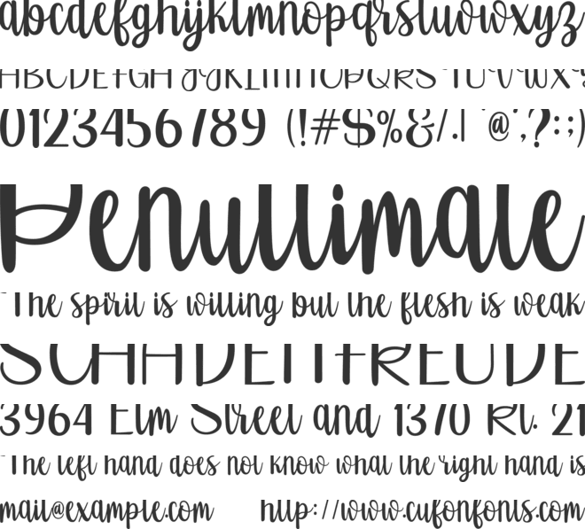 Fatone Script font preview