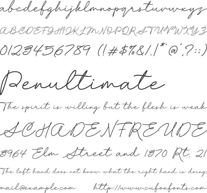 Flashline font preview