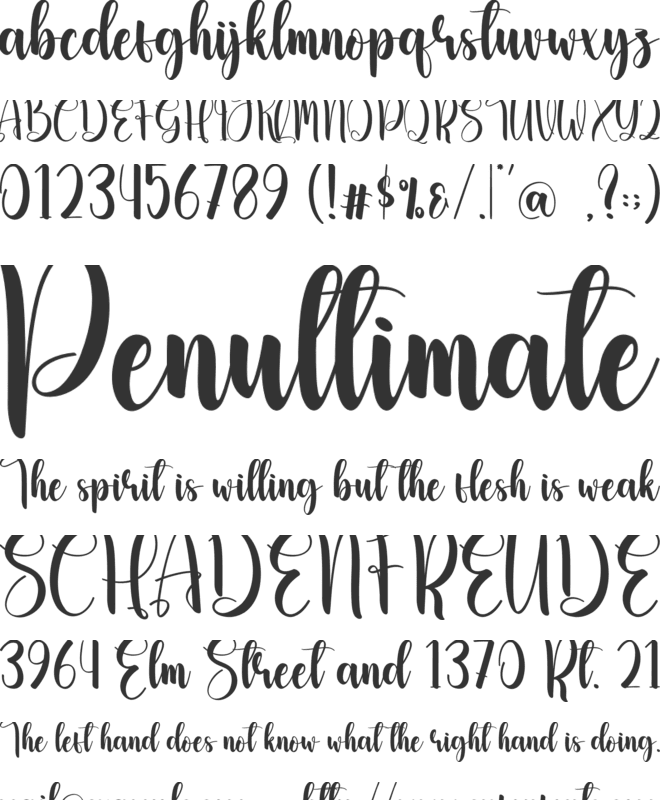 Winterain font preview