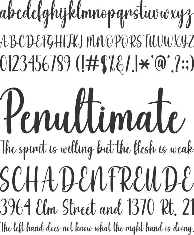 Night Party font preview