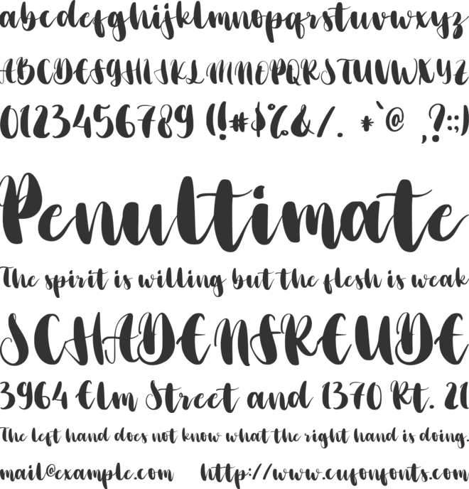 Christmas Bloom font preview