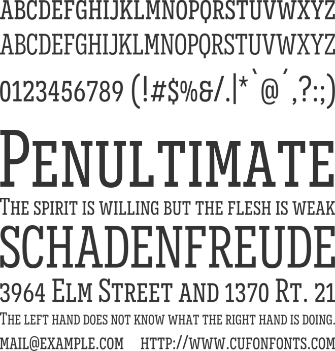 Novecento slab condensed font preview