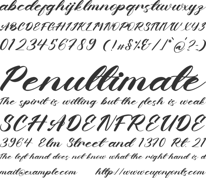 Chandeer Holestter font preview