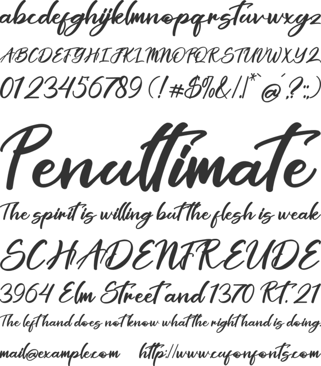 Orttega font preview