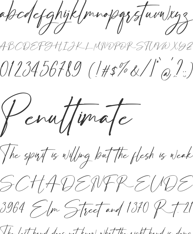 Alisandro font preview