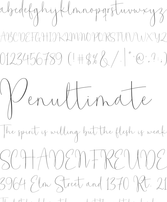 Bollistom font preview