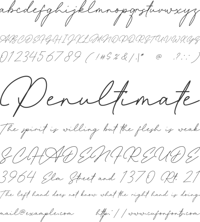 Allena Signature font preview