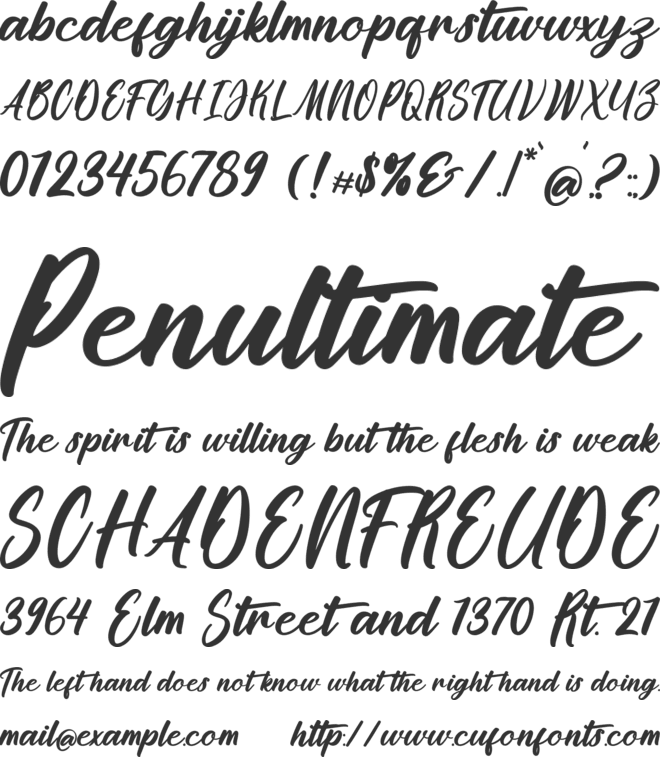 Whicleena font preview