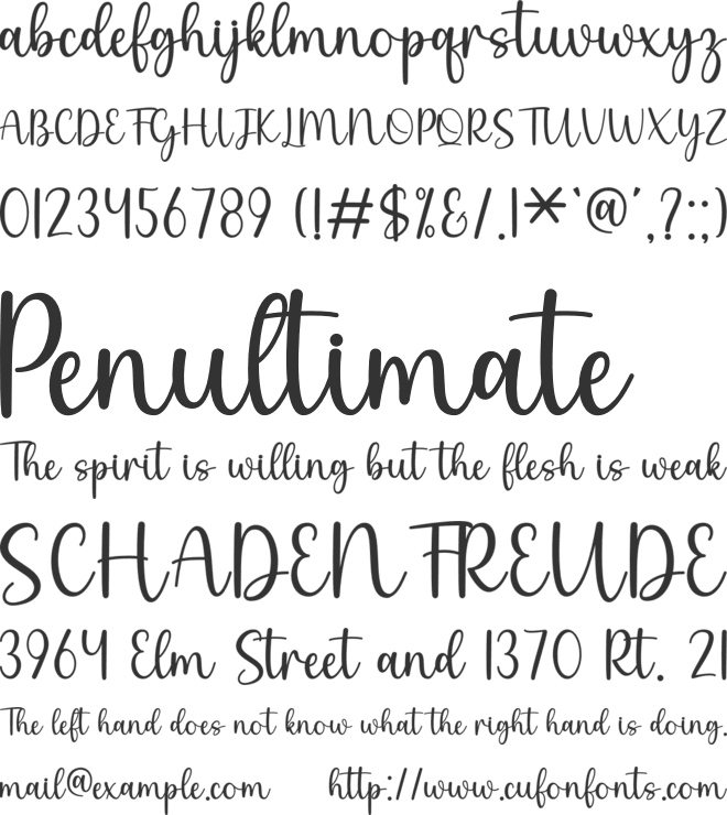 Simple Party font preview