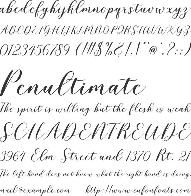 Blushline Script font preview