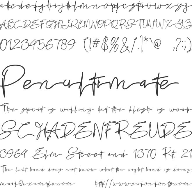 Evas Signatures font preview