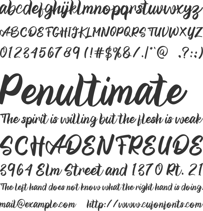 Christmas Wedding font preview