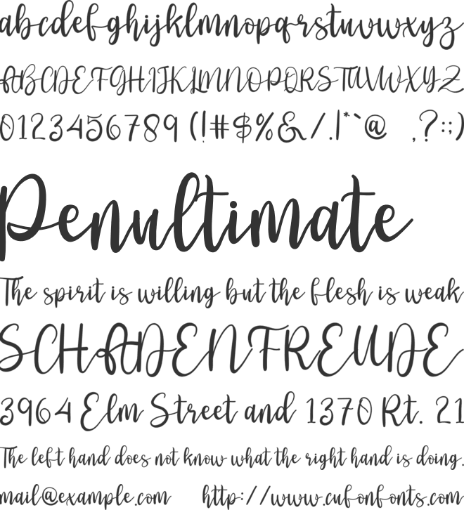 History Christmas font preview