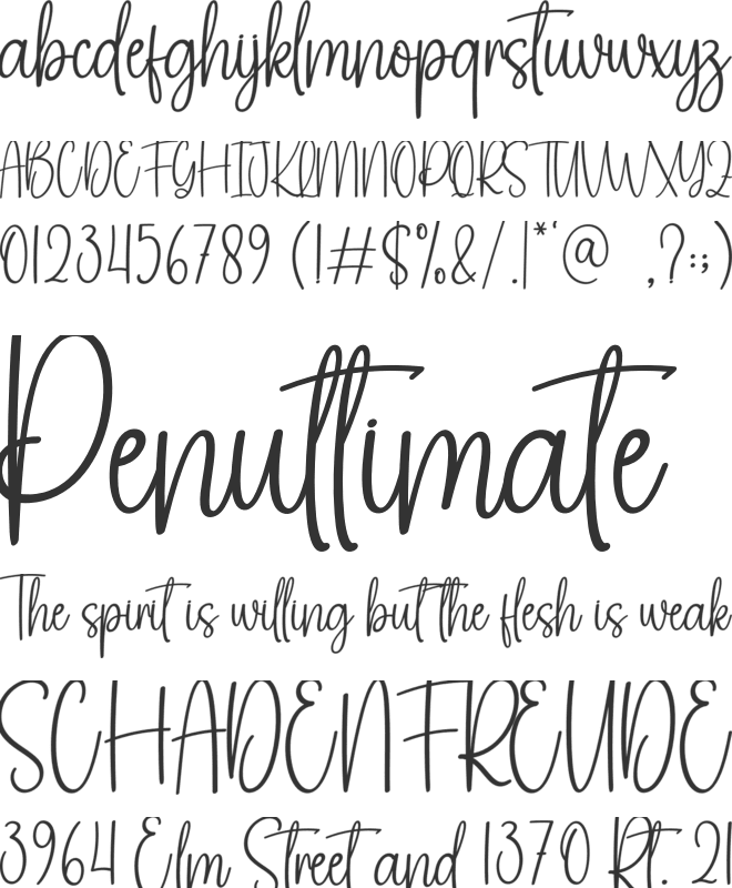 Christmas Signature font preview