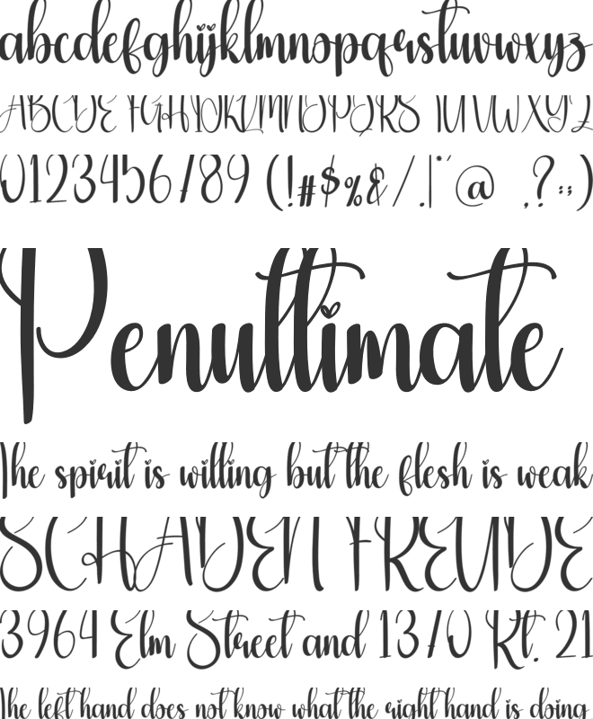 Fireplace font preview