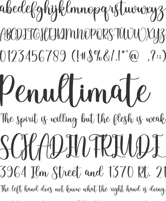 Masphine font preview