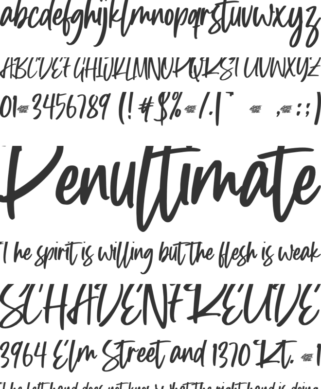 Anitty font preview