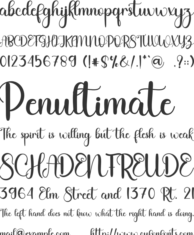 Signatured font preview