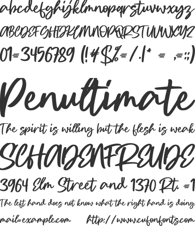 Notable font preview