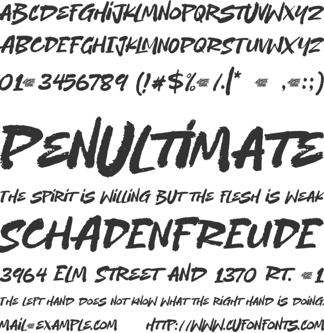 Wild Strokes font preview