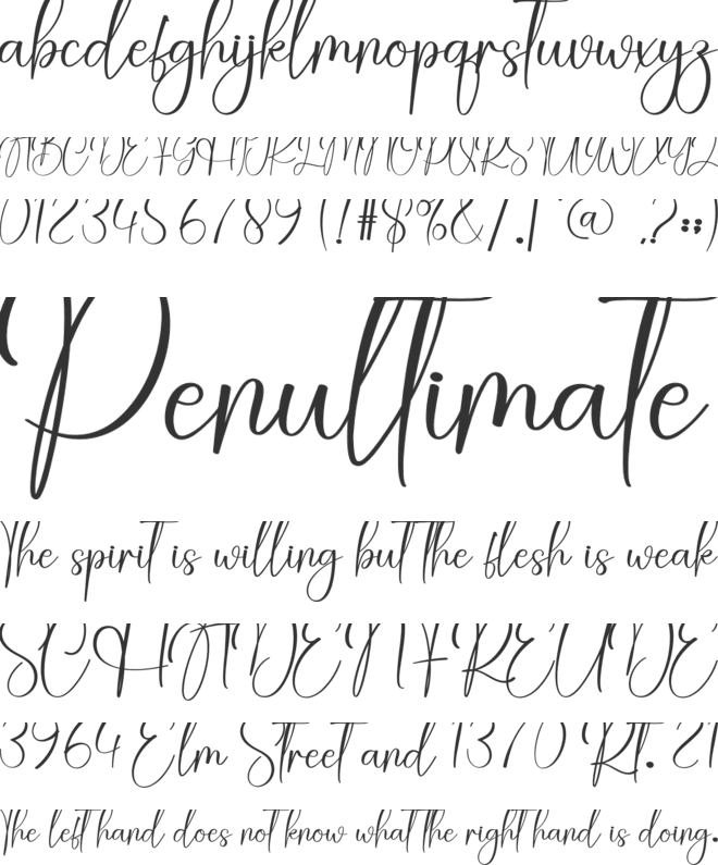 Anythink font preview