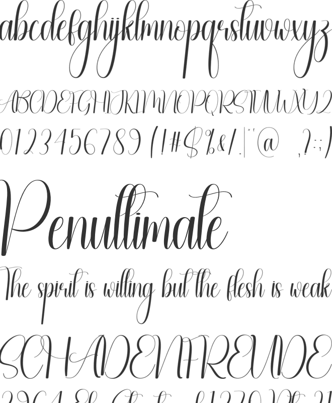 Youngster font preview