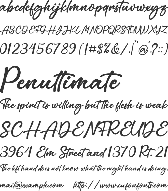 Endorsed font preview