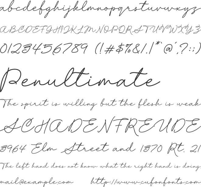 Flashline Handwriting font preview