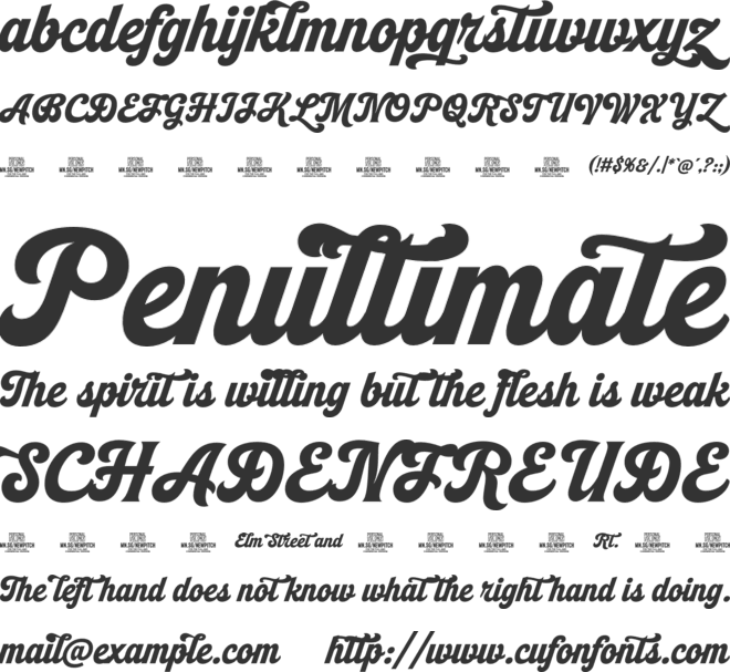 Newpitch Script PERSONAL USE font preview