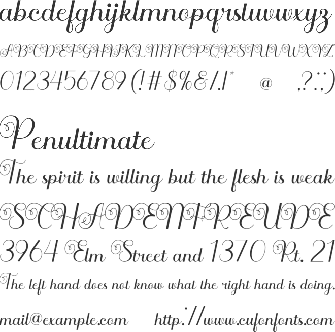 Ranzene font preview