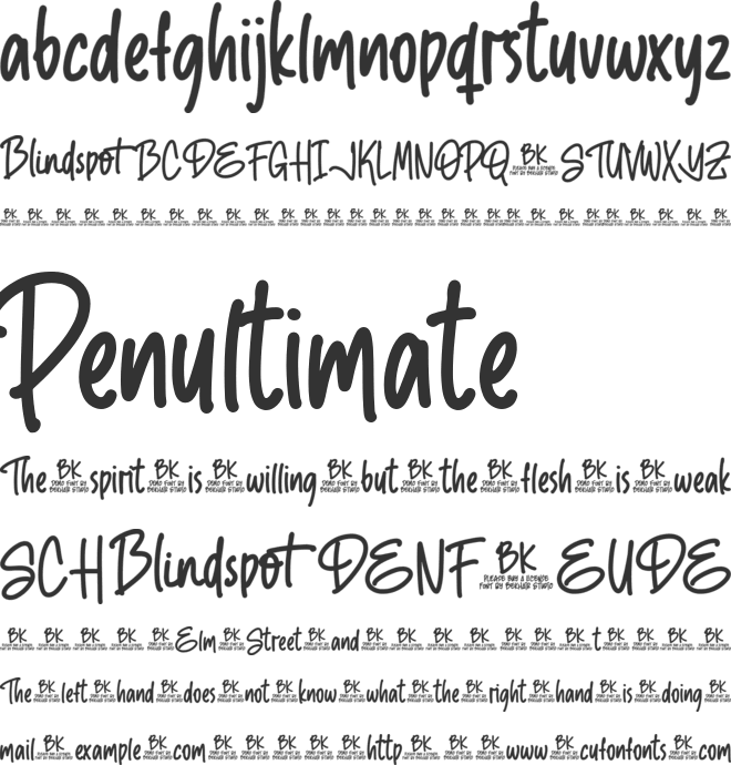 BKR Blindspot font preview