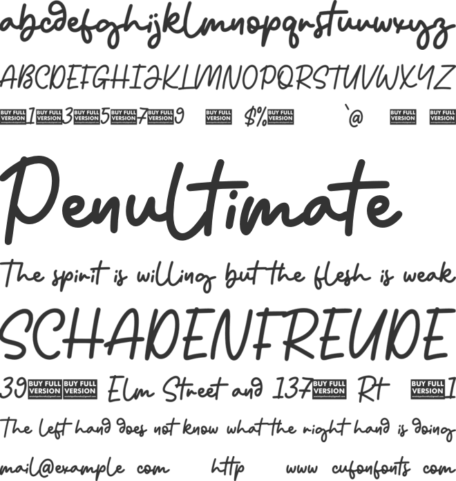 Reileight Winterlane font preview