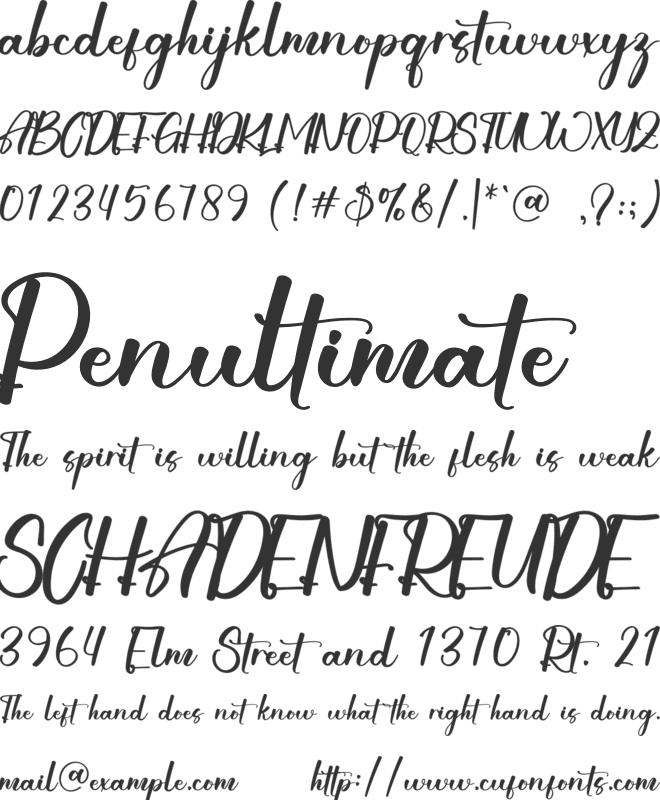 Stay Withyou font preview