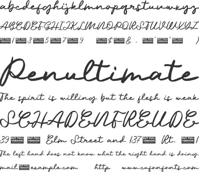 Palmera Dirham font preview