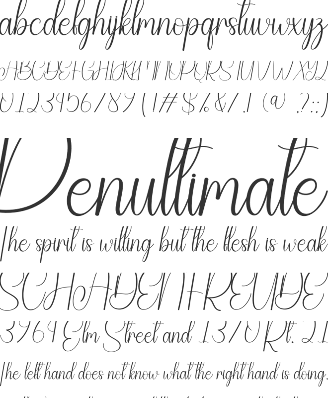 Snowy Signature font preview