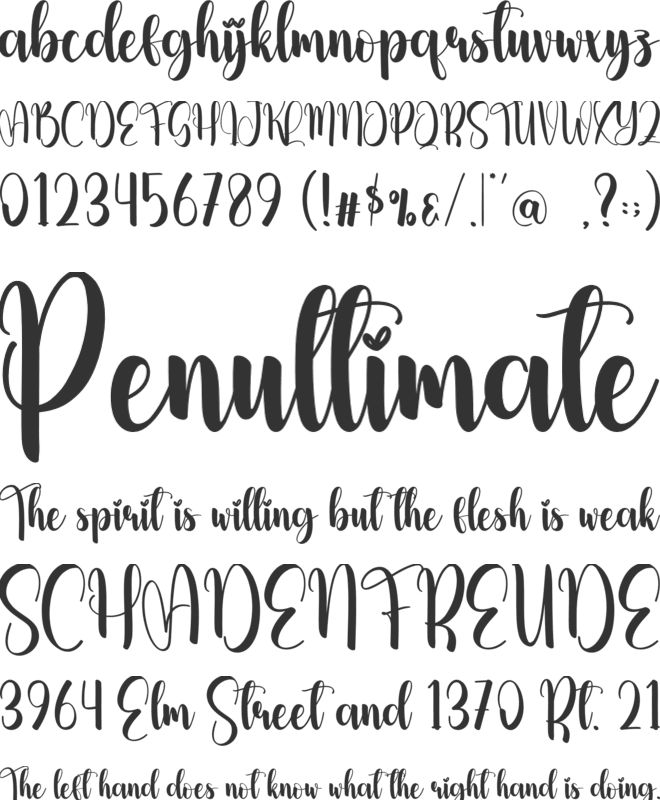 Simple Ornament font preview