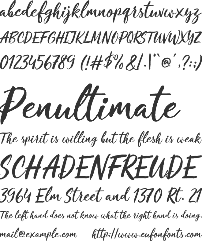 Crushine Brush Script font preview