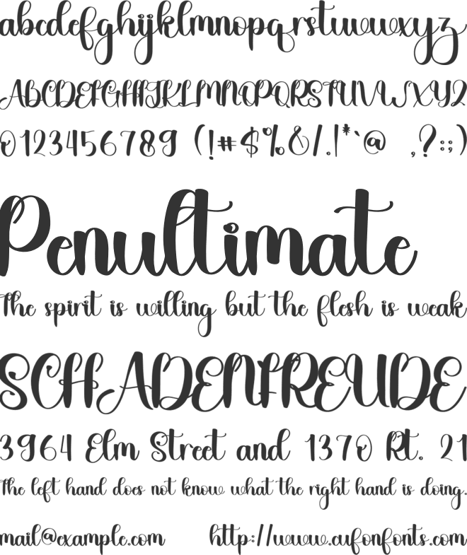 Amfibi font preview