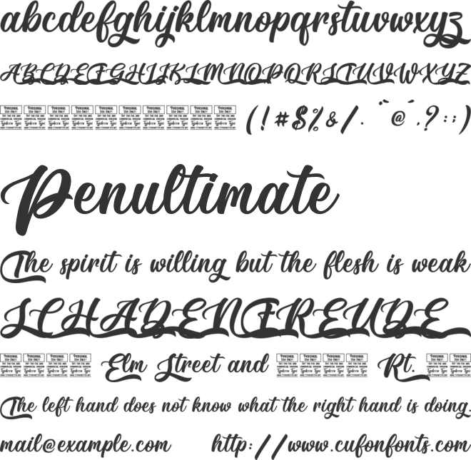 Celina Diary - Personal Use font preview