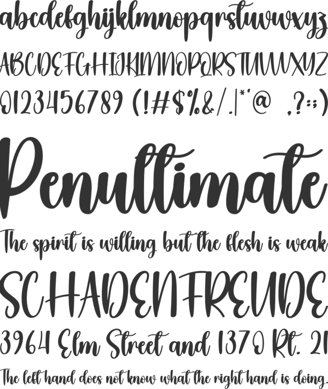 Perfectly Winter font preview