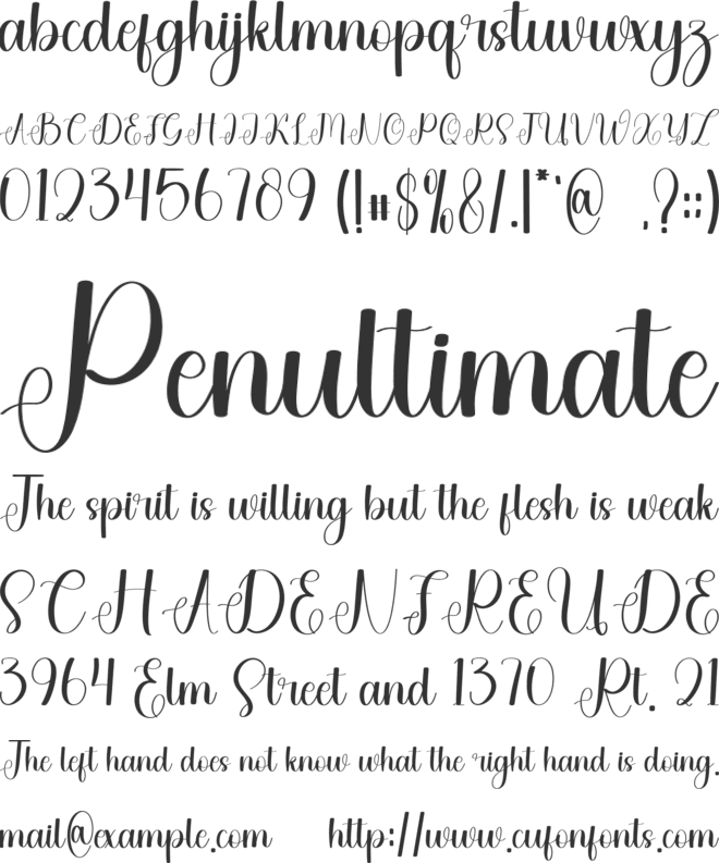 Bruttney font preview