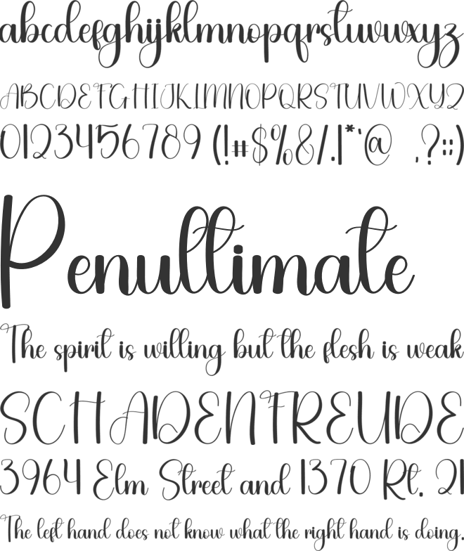 Specialist font preview