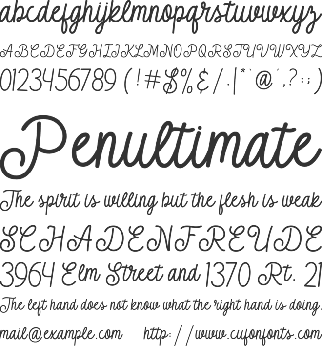 Taringue font preview