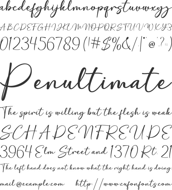 Modern Winsley font preview