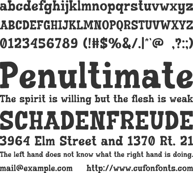 NOTION font preview