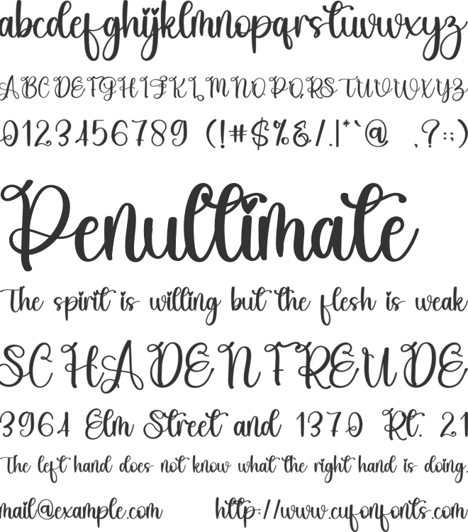 Shuffle font preview