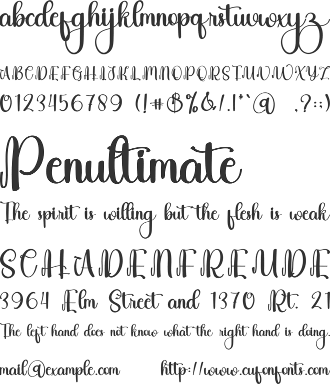 Our Wedding font preview